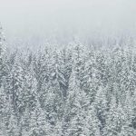 Bronşit Belirtileri Nelerdir?