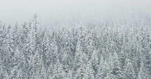 Bronşit Belirtileri Nelerdir?