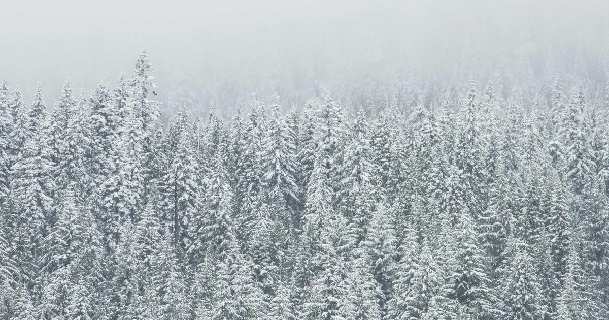 Bronşit Belirtileri Nelerdir?