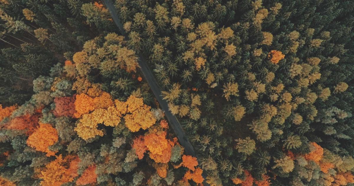 Ürtiker Nedir, Tedavi Yöntemleri